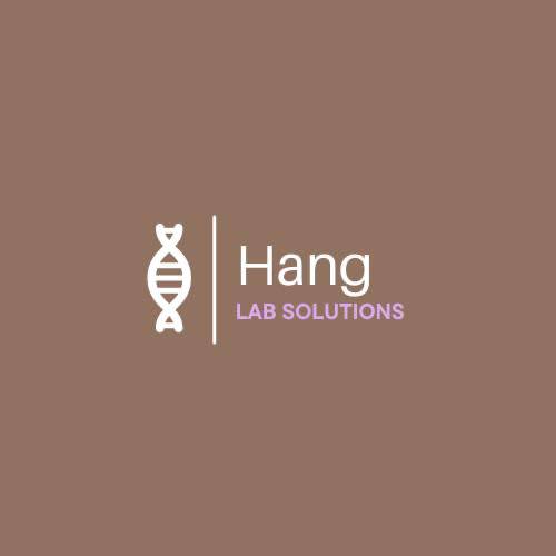 Hang Lab Solutions logo