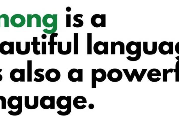 Hmong Language Movement photo