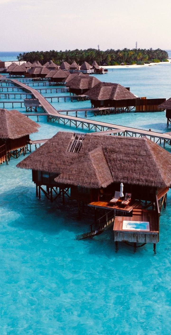 Shua Vang — Travel Agent photo
